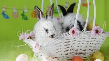 两只带装饰鸡蛋的白色篮子复活节小兔子